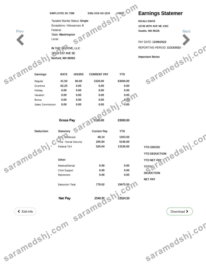 IN THE GROOVE, LLC earnings statement template in Word and PDF formats.pdf, 1